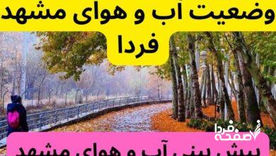 پیش‌ بینی وضعیت آب و هوای مشهد فردا شنبه ۲۴ آذر ۱۴۰۳ | هواشناسی مشهد ۲۴ ساعت آینده