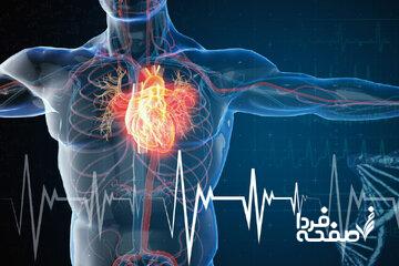 شروع زنگ خطر قلب از ۱۰ سالگی | چگونه میتوان از گرفتگی رگها جلوگیری کرد؟