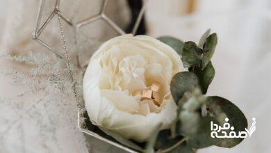 هدیه شب یلدا برای عروس | آیا میخواهید دل عروس را بربایید؟ این هدیهها را از دست ندهید