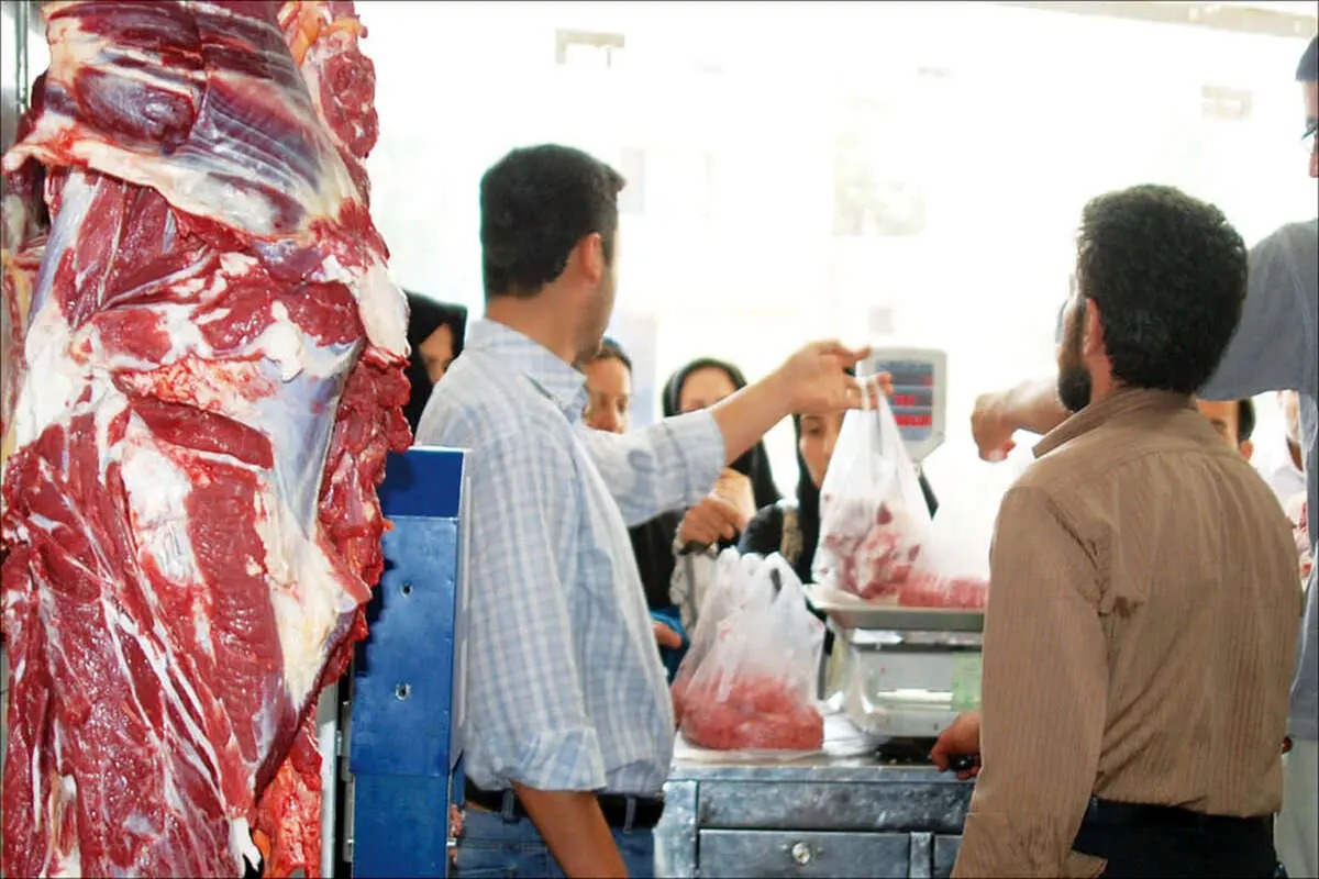 هواپیمای قیمت گوشت قرمز امروزدوشنبه ۱۲ آذرماه ۱۴۰۳ دوباره اوج گرفت