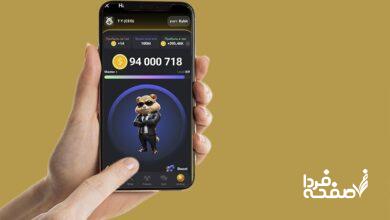 کارت بازی همستر