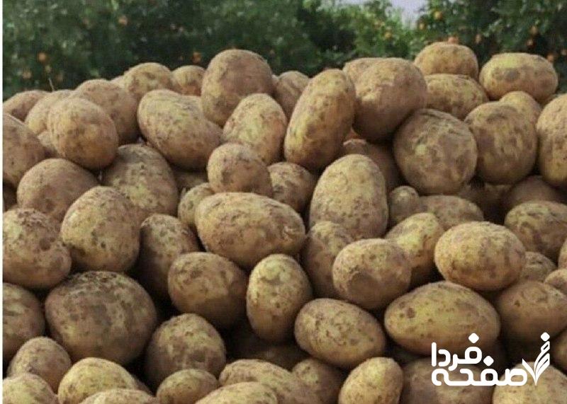 قیمت سیبزمینی