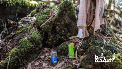 هدیه فلاح ماکرانی