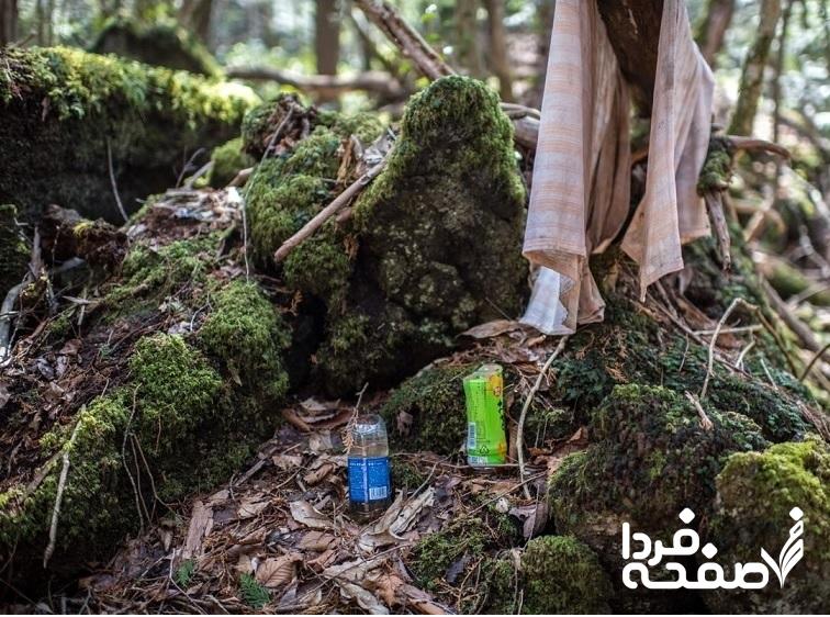 هدیه فلاح ماکرانی
