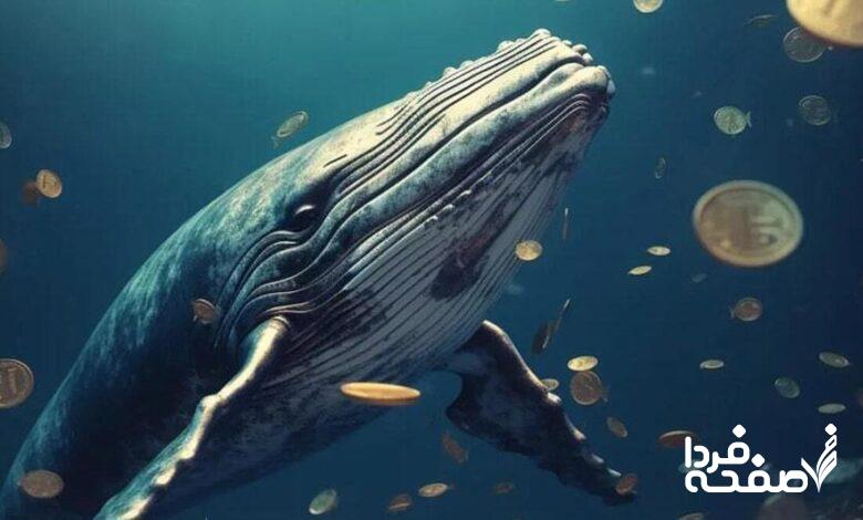 ارز دیجیتال