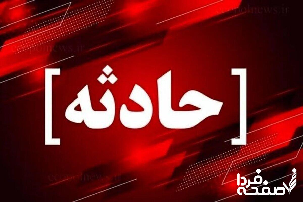 حمله پلنگ