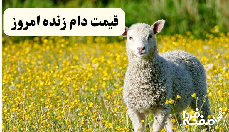 دام زنده