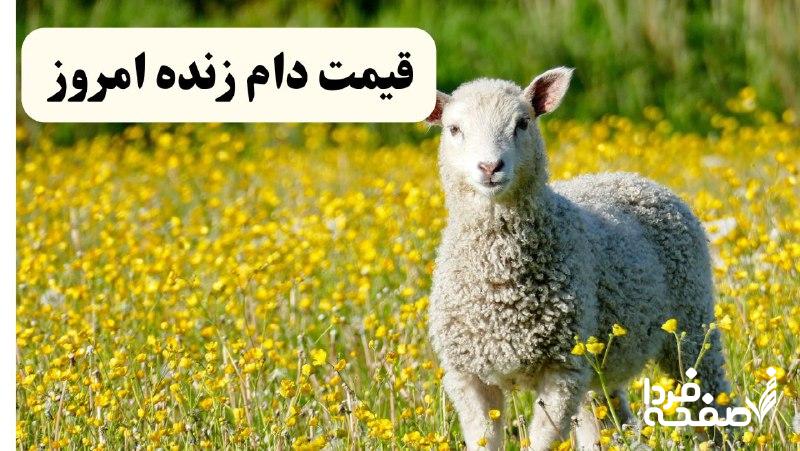 دام زنده