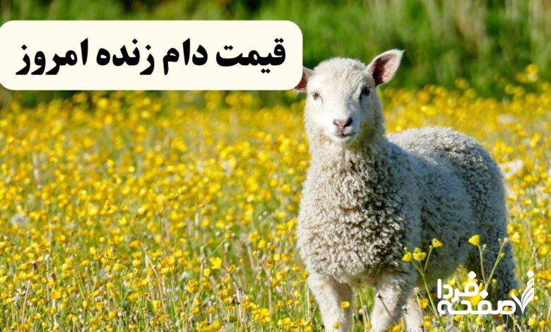 قیمت دام زنده