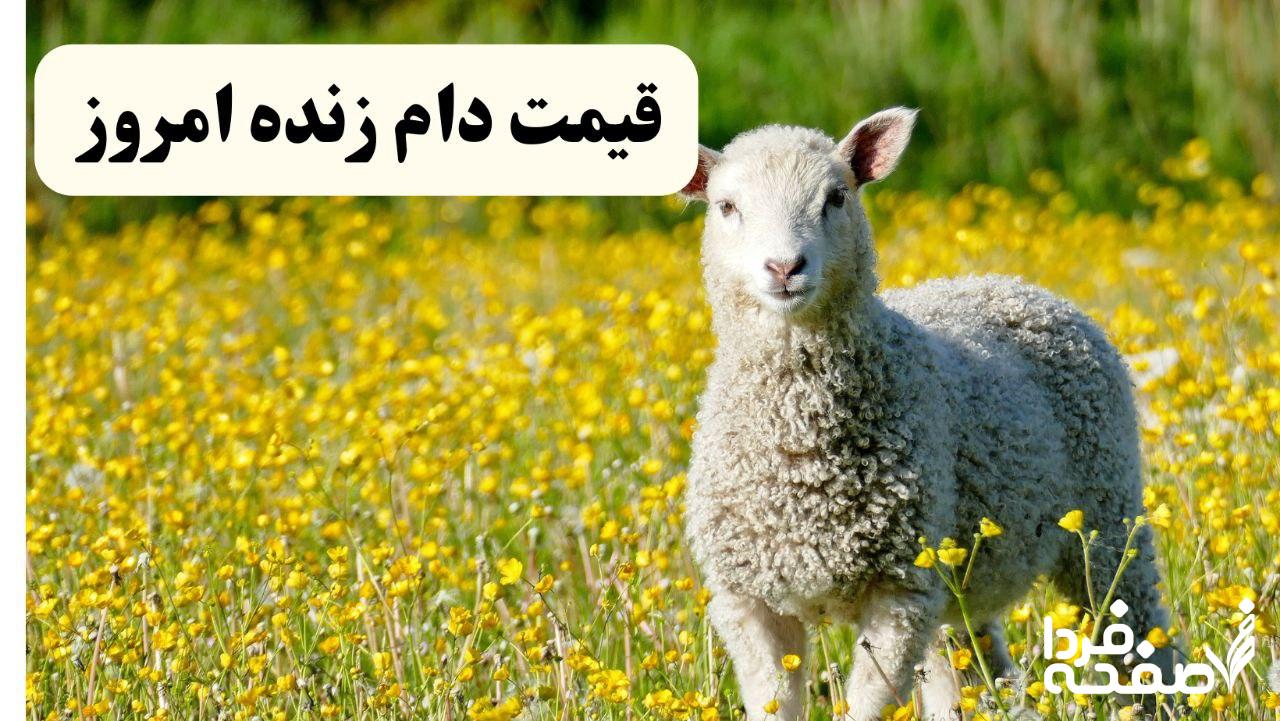 قیمت دام زنده