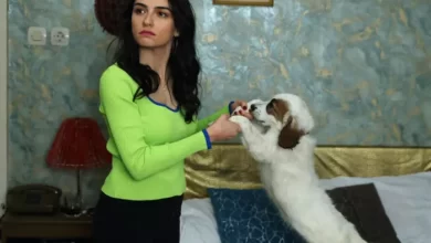 قسمت ۹ سریال ترکی دانه های مروارید