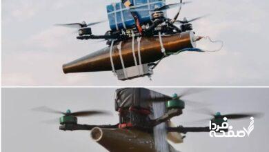 ریز پرنده چیه؟