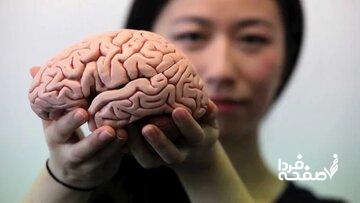 چطور با استفاده از روشهای طبیعی از مغزمان سمزدایی کنیم؟