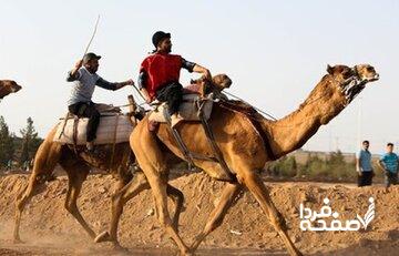 بورسیه شترسواری ایران سوخت!