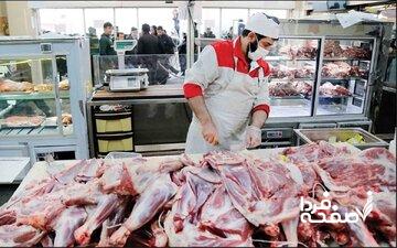 توزیع روزانه گوشت قرمز وارداتی در فروشگاه‌ها و میادین/ مغز ران و مخلوط کیلویی چند است؟
