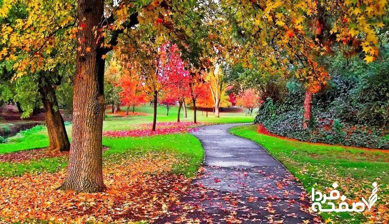 این 9 استان منتظر بارش شدید پاییزی باشند