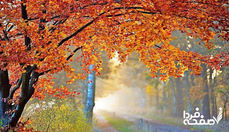 ورود ۲ سامانه بارشی قدرتمند به ۱۳ استان کشور؛ برای سرما و بارندگی آماده باشید