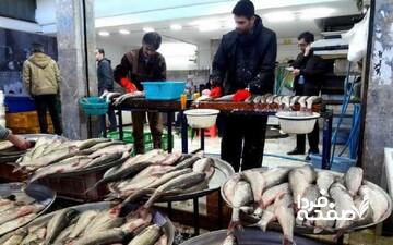 افزایش قیمت ماهی عجیب شد/ این ماهی روزانه ۱۰ هزار تومان گران میشود