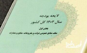 کاهش چشمگیر سهم بودجه دستگاههای اجرایی/ دولت سهم ۸۰ درصدی دارد