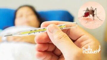 زنگ خطر شیوع تب دنگی در این منطقه به صدا در آمد