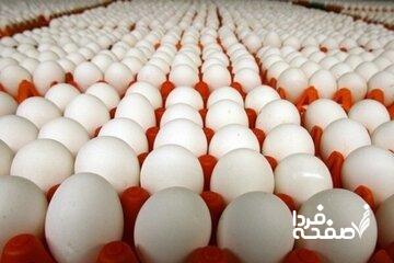 قیمت رسمی تخممرغ اعلام شد/ جزییات