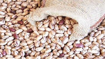چراغ سبز به گرانی حبوبات / لوبیا چیتی هم قیمت گوشت شد/ افزایش ۶ برابری لوبیا چیتی با چه دلیل و منطقی؟