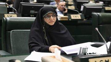 تغییر نام لایحه «منع خشونت علیه زنان» به «کرامت زنان و خانواده»/ انتقاد زهره لاجوردی؛ دولت اصرار به گنجاندن واژه خشونت در عنوان و متن لایحه دارد
