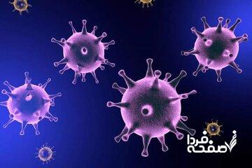 هشدار؛ آنفلوآنزای جدیدی در راه است، شاید خطرناکتر از کووید