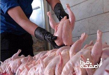 سفره خانوار گرانتر شد/علت افزایش قیمت مرغ چیست؟