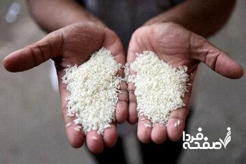 آخرین قیمت برنج ایرانی و پاکستانی در بازار