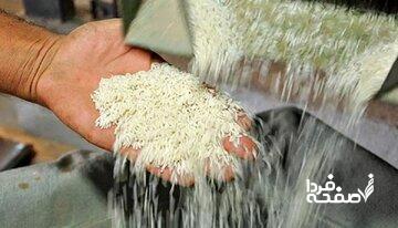 برنج هندی و پاکستانی کیلویی چند؟/ برنج پاکستانی ۲ برابر نرخ مصوب در بازار عرضه می شود