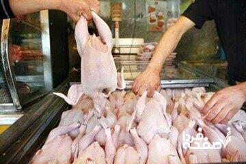 پیشبینی کاهش قیمت مرغ در ماههای آینده