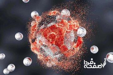 این میوهی سرشار از ویتامین مانع رشد تودههای سرطانی میشود