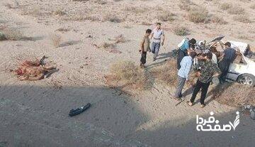 تصادف با شتر جان جوان ۲۲ ساله را گرفت