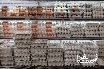 جنجال تخم‌مرغ از مرغداری تا بازار/ نیمرو با طعم تورم
