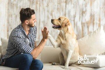 حقوق حیوانات برابر انسان؟ از گاوپرستی تا سگدوستی در ایران/ نداشتن حیوان خانگی بهمثابه عقبماندگی/ اقدام و حکم موثر یک قاضی