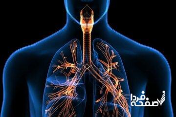۵ تمرین برای تقویت ریه