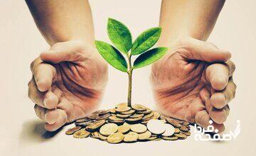 مدیرعامل جدید صندوق پژوهش و فناوری نوآفرین معرفی شد