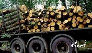 ماجرا قطع درختان صنوبر و دپو در چمستان