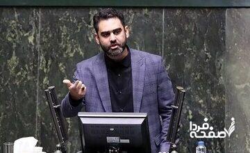 ادعای ثابتی درباره رئیس سازمان محیط زیست؛ شینا انصاری برای سفر کاری به برزیل درخواست ۵۰ میلیارد تومان کرده بود/ مگر می‌خواهید برزیل را بخرید؟