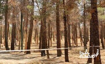 علت قطع هزاران اصله درخت در پارک چیتگر چیست؟