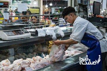 زنگ خطر در بازار؛ مرغ کیلویی ۲۵۰ هزار میشود؟