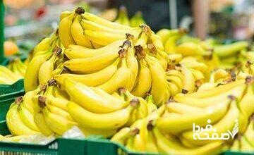 قیمت موز باید بسیار پایین‌تر باشد/ رانت واردات موز در قبال صادرات سیب!