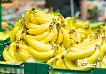 قیمت موز باید بسیار پایینتر باشد/ رانت واردات موز در قبال صادرات سیب!